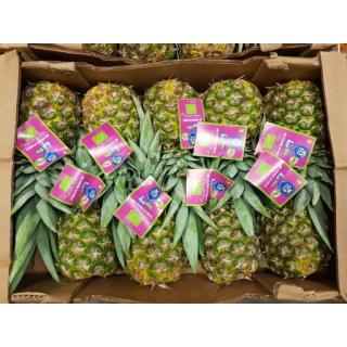 Ananas Costa Rica