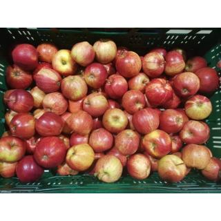 Apfel Schalenfehler