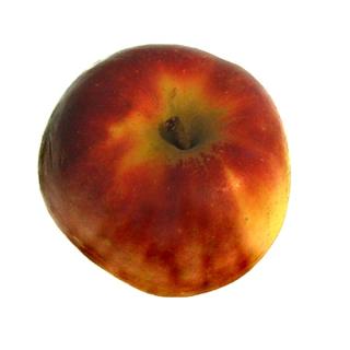 Apfel Gala