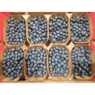 Heidelbeeren