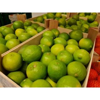 Limette