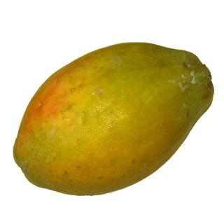 Papaya