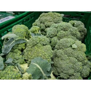 Broccoli
