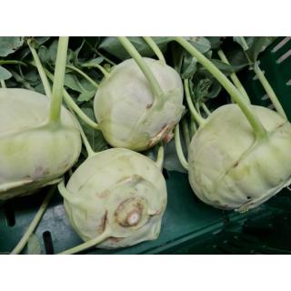 Kohlrabi