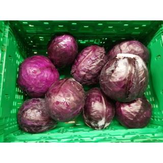 Rotkohl