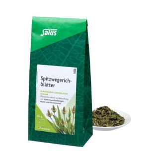 Spitzwegerichblätter Tee