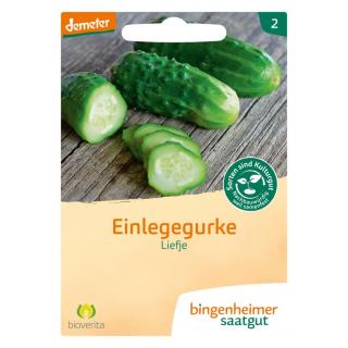 V! Einlegegurke Liefje bioverita