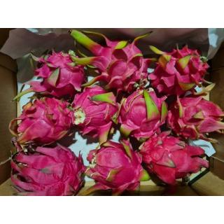 Pitahaya