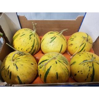 Honigmelone
